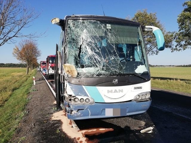 Wypadek na drodze Wrocław - Świdnica. Osiem osób rannych 