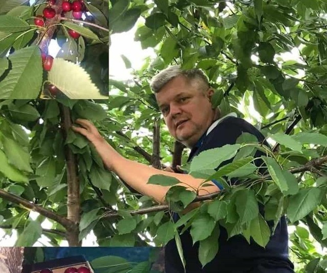 Norbert Mastalerz we własnym ogrodzie. Więcej na kolejnych zdjęciach