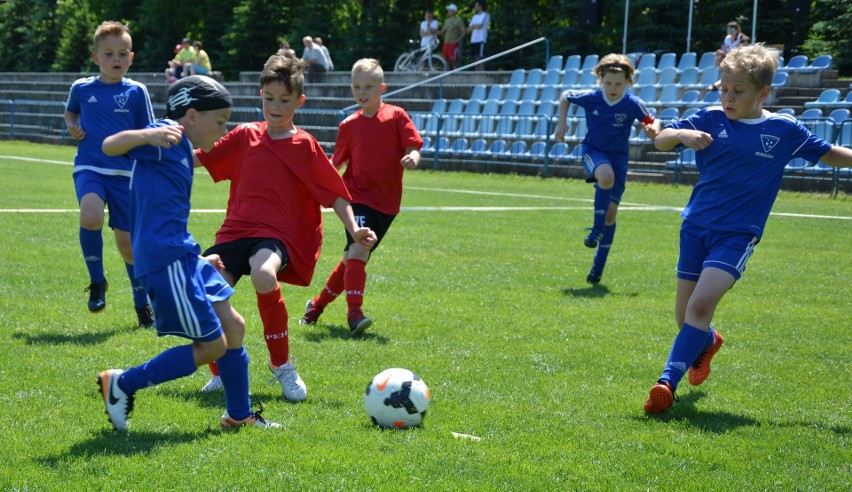 Dziesięć drużyn uczestniczyło w turnieju Jędrzejów Cup 2019....