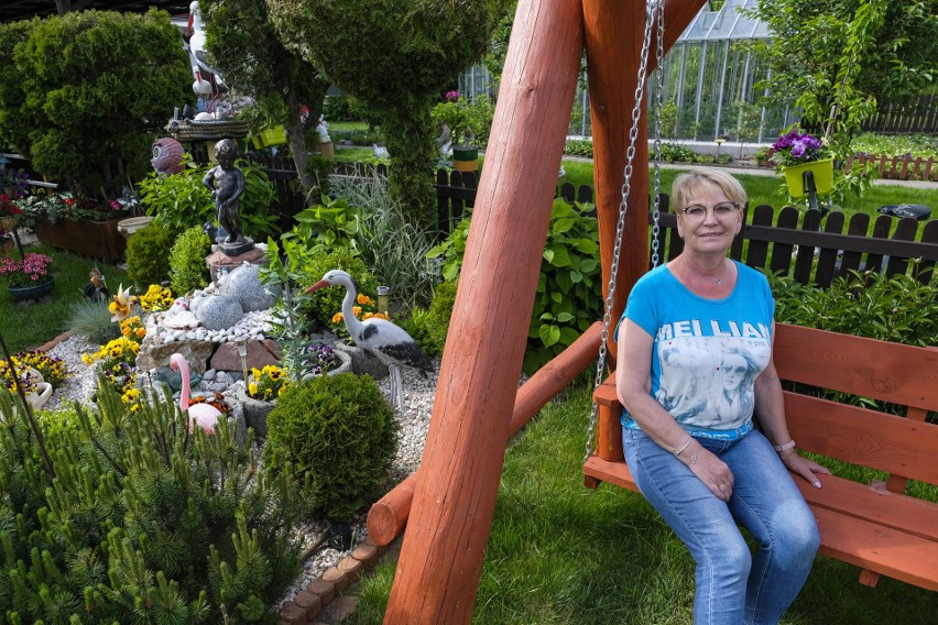 Pani Terenia na swojej działce w ROD "Nad Strumykiem"