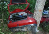 Młody kierowca uderzył w dwa drzewa (zdjęcia) 