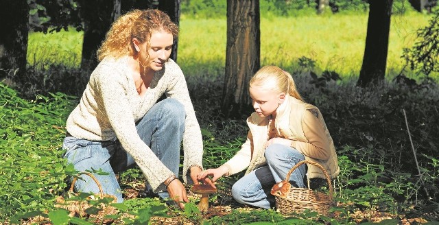 Choć wcześniej pojawiały się już grzyby, a pogoda dopisuje, to teraz jest ich  jak na lekarstwo. Jednak zdaniem ekspertów, sytuacja może się zmienić już za tydzień. 