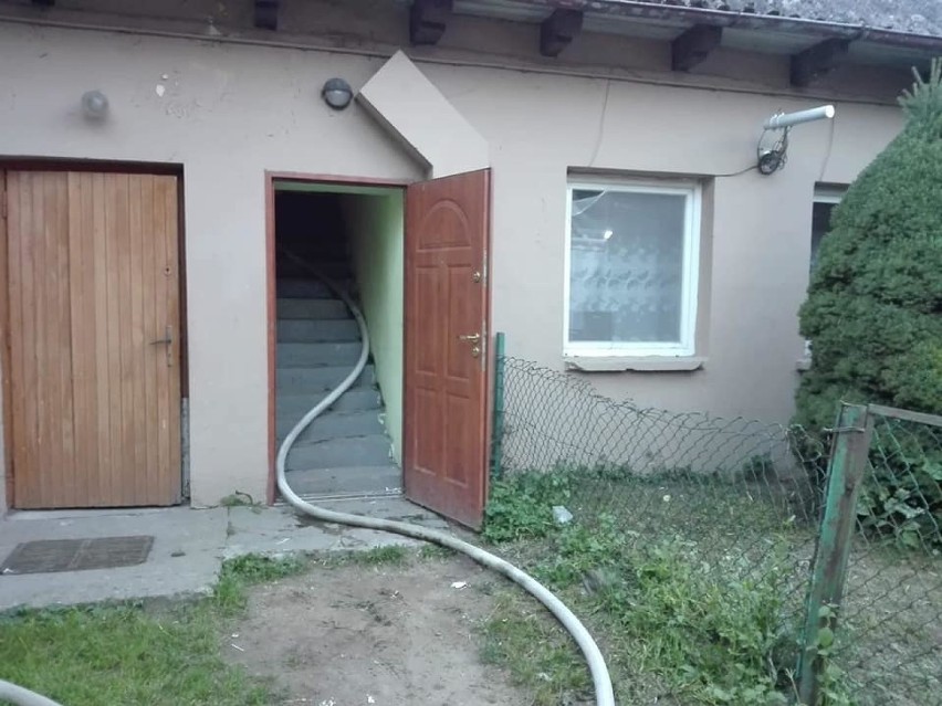 Gmina Stegna. Mieszkańcy chcieli zlikwidować gniazdo szerszeni w swoim domu. Skończyło się pożarem [zdjęcia]