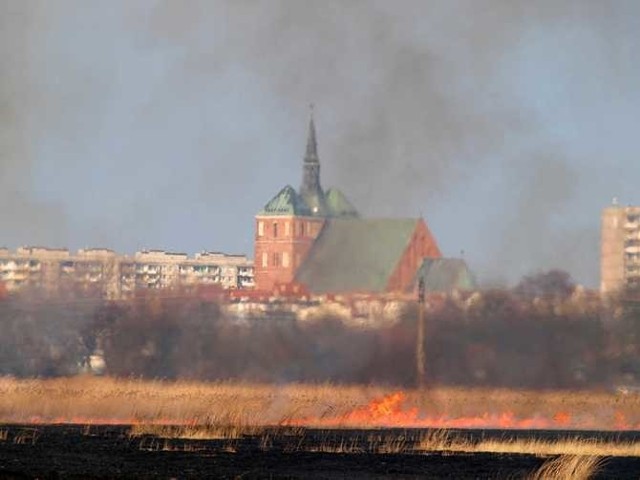 Ogień, który wybuchł na nieużytkach między Kołobrzegiem, a Budzistowem musieli gasić ręcznie tzw. tłumicami. 