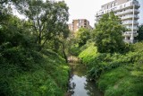 Kraków. Przy okazji budowy parku na Białych Morzach uda się odtruć zasoloną rzekę Wilgę? Może powstać specjalny zbiornik na solankę