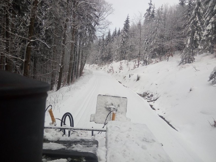 Góry Sowie - świetne warunki do narciarstwa biegowego....