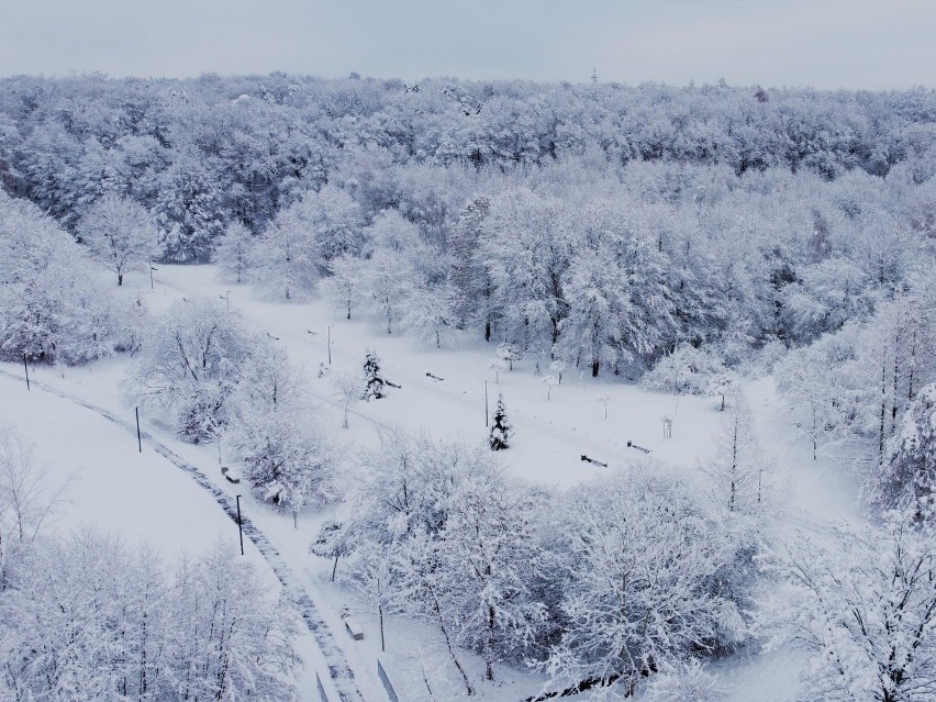Koszalińska Góra Chełmska w zimowej scenerii. Zdjęcia z...