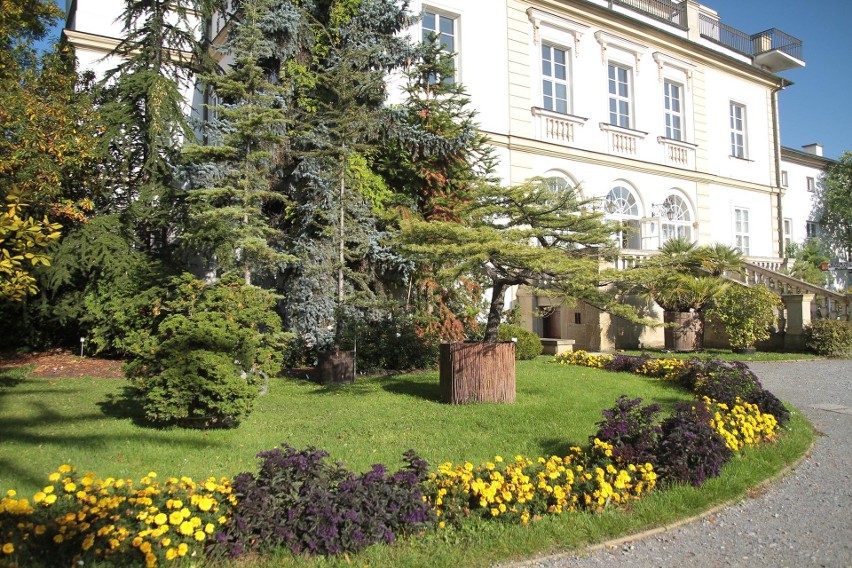 Kraków. Jesienny spacer po Ogrodzie Botanicznym [ZDJĘCIA]