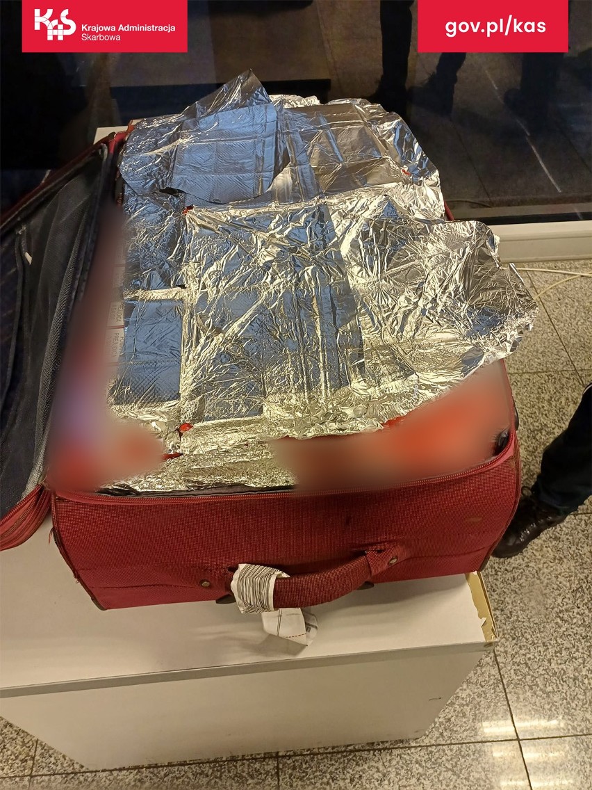 Nielegalna kontrabanda znajdowała się w bagażu obywatela...