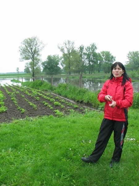 - Jak tak dalej pójdzie, to trzeba się będzie pakować - prorokuje Stefania Sarbinowska, której zalało ogród i pole.