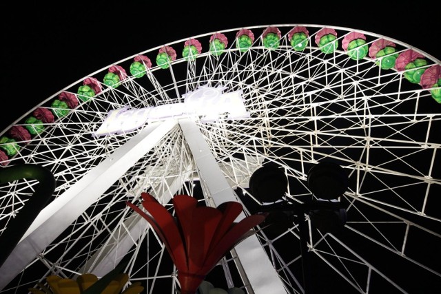 Ogród Świateł prezentuje się zjawiskowo. Pół miliona lampek w Śląskim Wesołym Miasteczku.Zobacz kolejne zdjęcia. Przesuwaj zdjęcia w prawo - naciśnij strzałkę lub przycisk NASTĘPNE