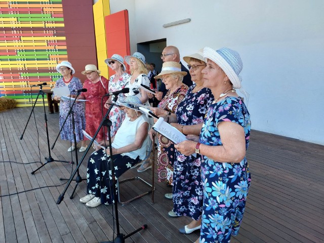 W niedzielę, 3 lipca na Podzamczu w Wąbrzeźnie królowała muzyka biesiadna