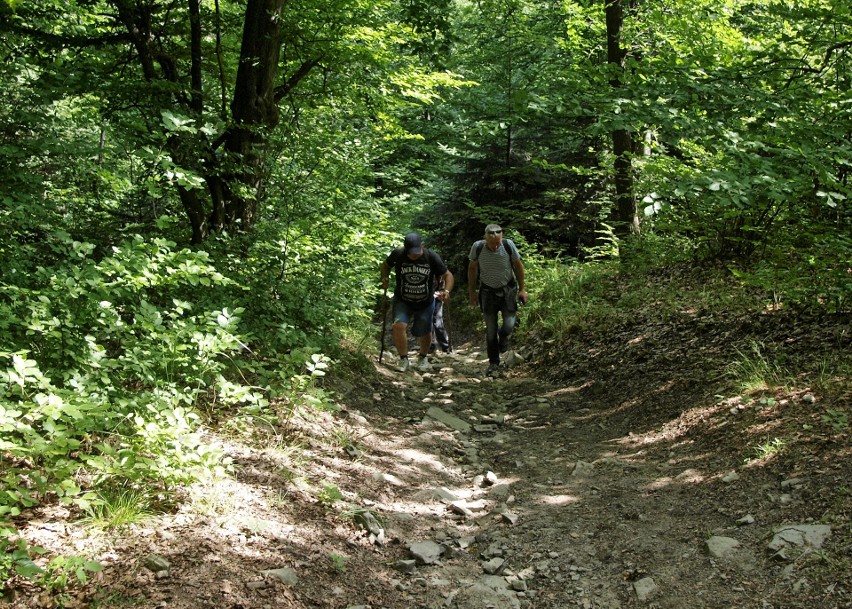 Odkryj Beskid Wyspowy. W sobotni wieczór wspięli się na Luboń Wielki, a w niedzielny poranek pokonali Grodzisko