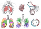 Choroby płuc – objawy, leczenie, rodzaje                 