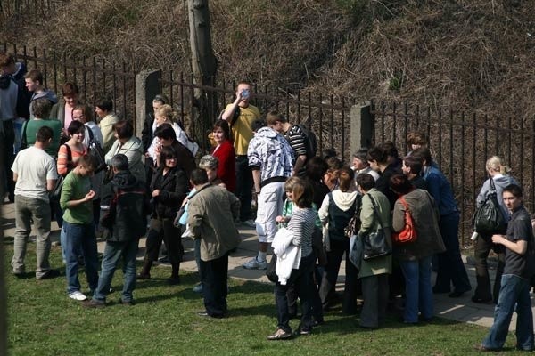 Gigantyczna kolejka po unijne stypendiaOk. tysiąca osób stoi w olbrzymiej kolejce przed wydzialem stypendialnym Urzedu Miasta Rzeszowa, aby zlozyc wniosek o stypendia unijne dla mlodziezy. 