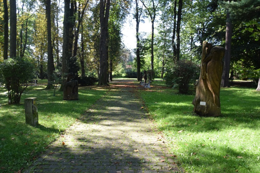Park Kuracyjny w Ustroniu to miejsce warte odwiedzenia o...
