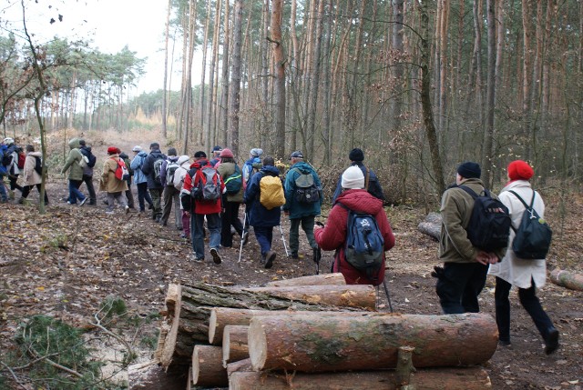 Już czas ruszyć w las. Ale trzeba to zrobić z głową, aby zminimalizować zagrożenia.