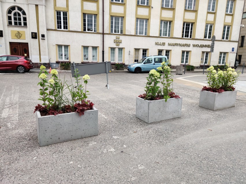 Dynie zamiast samochodów na byłym parkingu przy ul. Zawiszy Czarnego. Teraz będzie tam park