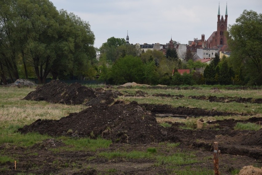 Na błoniach w Świebodzinie krajobraz wciąż trochę kosmiczny,...