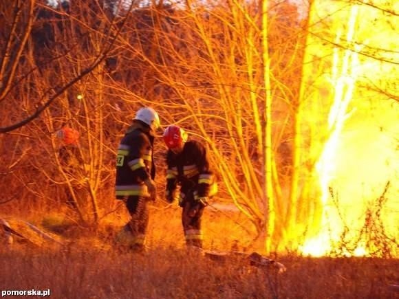 Zdjęcia z pożaru przy ul. Szpitalnej w Bydgoszczy nadesłane przez Czytelnika
