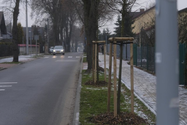 Przy okazji remontu ulicy  św. Antoniego zadbano o zieleń - szkody, po interwencjach, są naprawiane