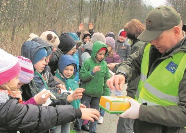 Leśniczy Jerzy Adamiuk rozdał dzieciom z Narewki rękawice ochronne, by bez obaw mogły przenieść ropuchy.