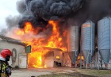 Ogromny pożar kurnika pod Gorzowem. Kilkanaście wozów straży pożarnej na miejscu