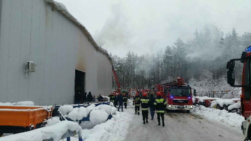 Pożar w zakładzie produkcyjnym Pronaru w Narwi