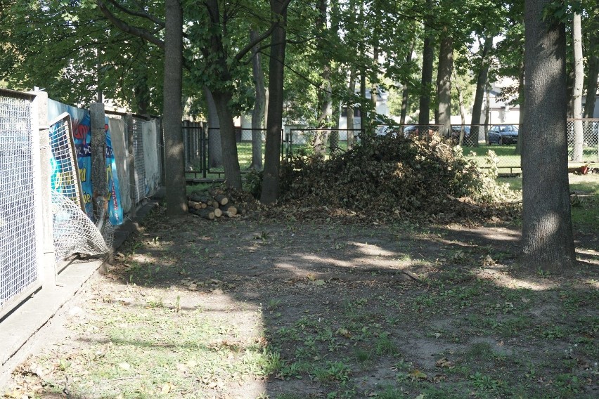 Burze w Łodzi. Po sierpniowych burzach w Łodzi na ulicach wciąż leżą gałęzie i fragmenty powalonych drzew