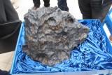 Tu w Polsce spadł meteoryt. Niezwykły rezerwat pełen kraterów i historii sprzed tysięcy lat znajduje się w Poznaniu. Jak do niego dotrzeć?