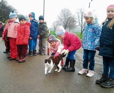 Dzieci ze szkół podstawowych odwiedziły schronisko w Oświęcimiu. Przywiozły ze sobą karmę oraz koce dla psów i kotów FOT. ARCH OTOZ ANIMALS OŚWIĘICM