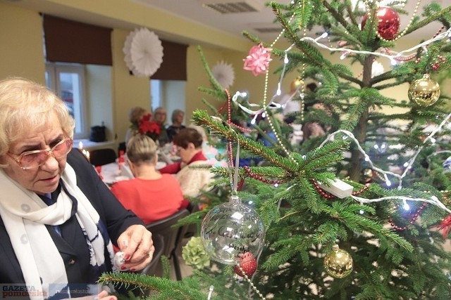 Tak było na Wigilii Pozarządówek w 2019 roku. Przy ul. Żabiej spotkali przedstawiciele organizacji, instytucji i stowarzyszeń działających we współpracy z Włocławskim Centrum Organizacji Pozarządowych i Wolontariatu. Od 15 grudnia 2021 roku, w związku z epidemią, w Centrum możliwe są spotkania jedynie w małych grupkach