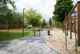 Skwer imienia Ireny Sendlerowej w Kielcach, nowy park i miejsce relaksu przy ulicy Paderewskiego w Kielcach już otwarty