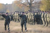 Wojsko Polskie oczekuje chętnych na przeszkolenie. A ilu ich jest?