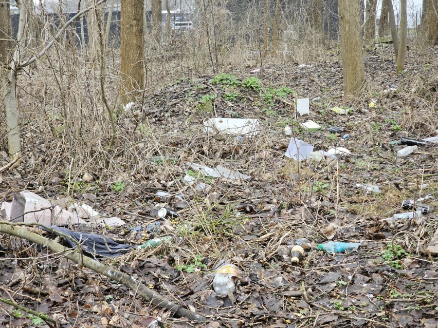 Widzisz w Toruniu nielegalne wysypisko śmieci? Zgłoś je do Wydziału Gospodarki Komunalnej lub do Straży Miejskiej