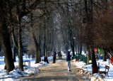 Piękny słoneczny dzień w parku na Plantach w Radomiu. Zobacz galerię zdjęć