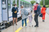 Promocje w PKP Intercity. Turyści podróżujący pociągiem do Hajnówki otrzymają prezent i zniżki na atrakcje w rejonie Puszczy Białowieskiej