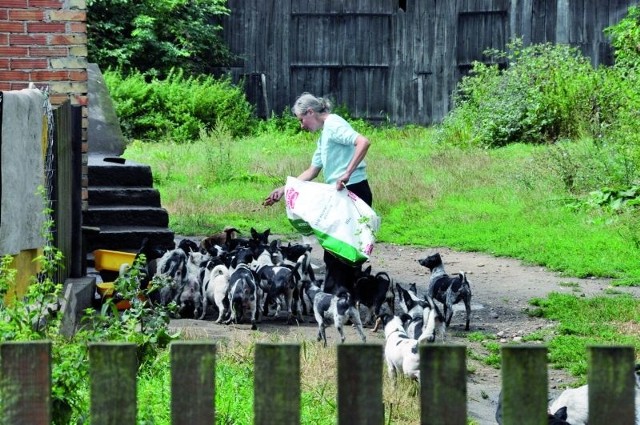 Jadwiga Bierzyńska ma 59 lat i coraz słabsze zdrowie. Opieka nad ponad setką psów jest dla niej zbyt wyczerpująca.