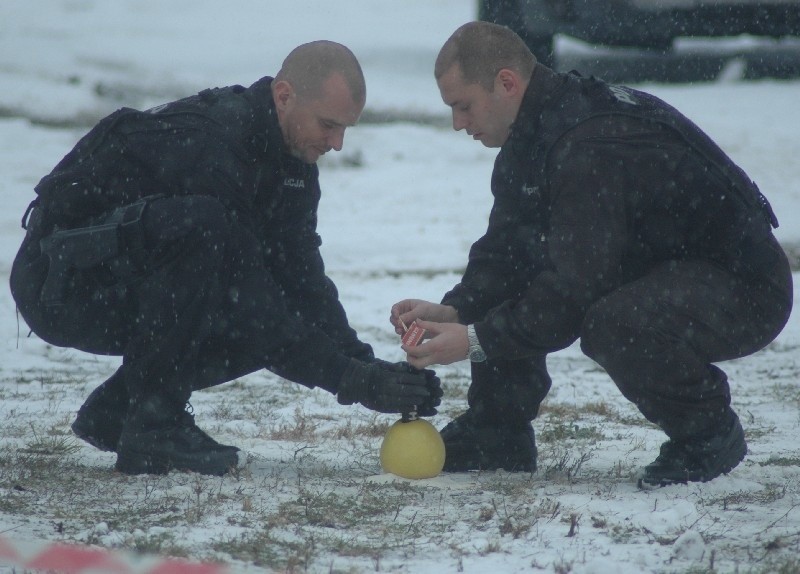 Policjanci odpalają petardę umieszczoną w owocu pomelo