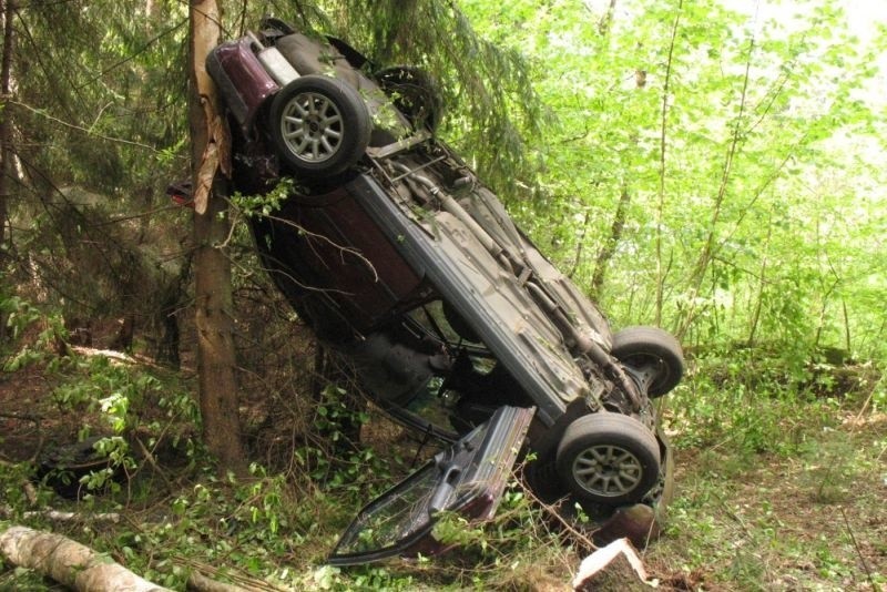 Groźny wypadek! Audi zatrzymało się dopiero na drzewach [ZDJĘCIA]