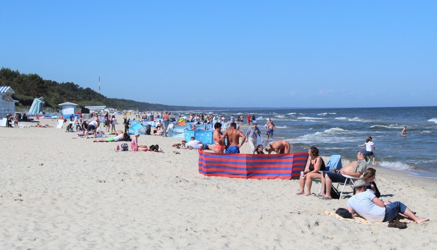 Plaża w Krynicy Morskiej wypełniła się w tym roku już w...