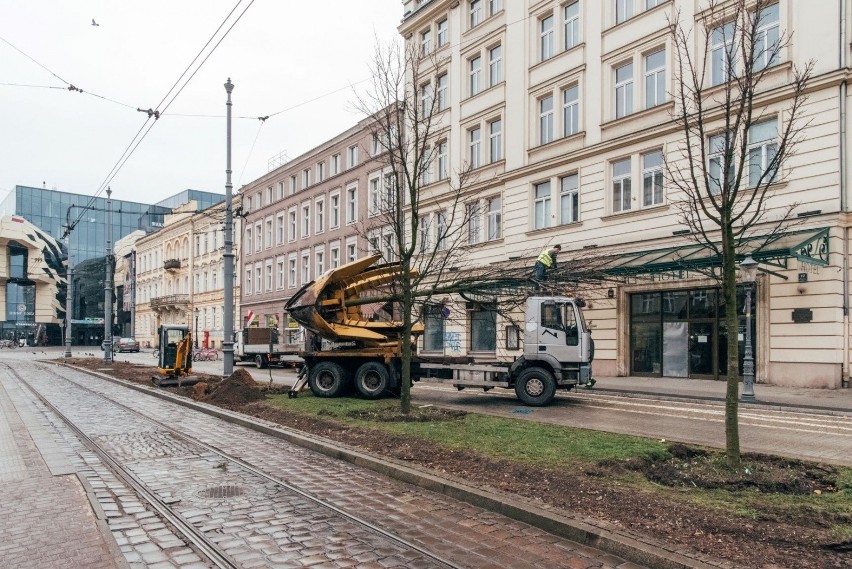 PIM informuje, że roślinność, która zmieni lokalizację,...