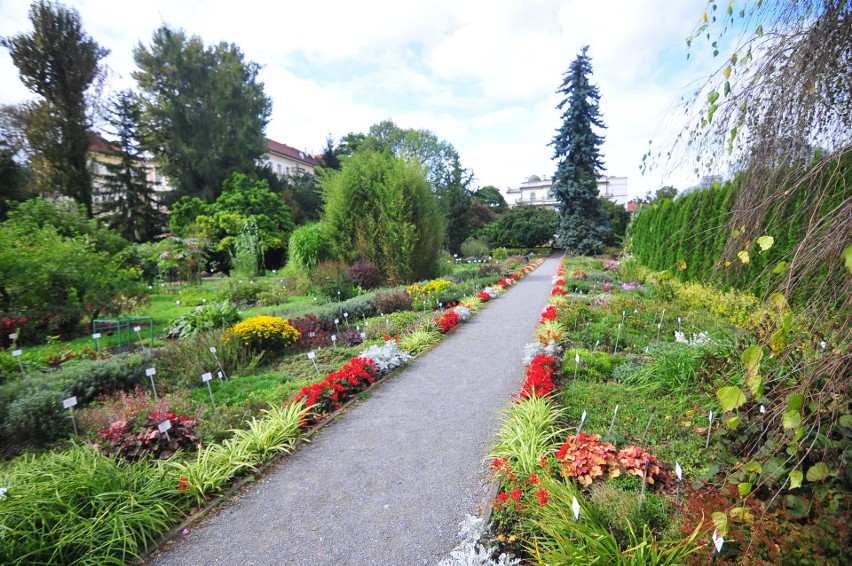 Piękny początek jesieni w krakowskim ogrodzie botanicznym. Zobacz te zdjęcia!