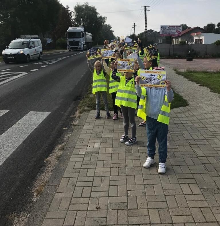 Akcja "Kierowco! Nie polujemy na zebrach!" w szkole podstawowej w Rozwadach pod Przysuchą