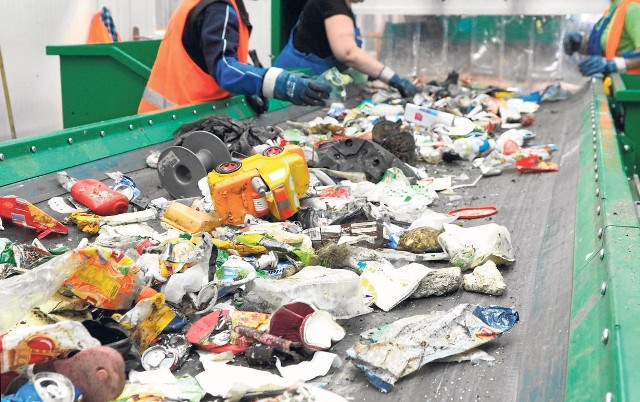 To taśma sortownicza na składowisku odpadów w Sianowie, nie w zieleni miejskiej w Kołobrzegu. Niewiele się jednak różnią i można sobie wyobrazić, minę kołobrzeskich pracowników, gdy na takiej taśmie pojawiły się banknoty