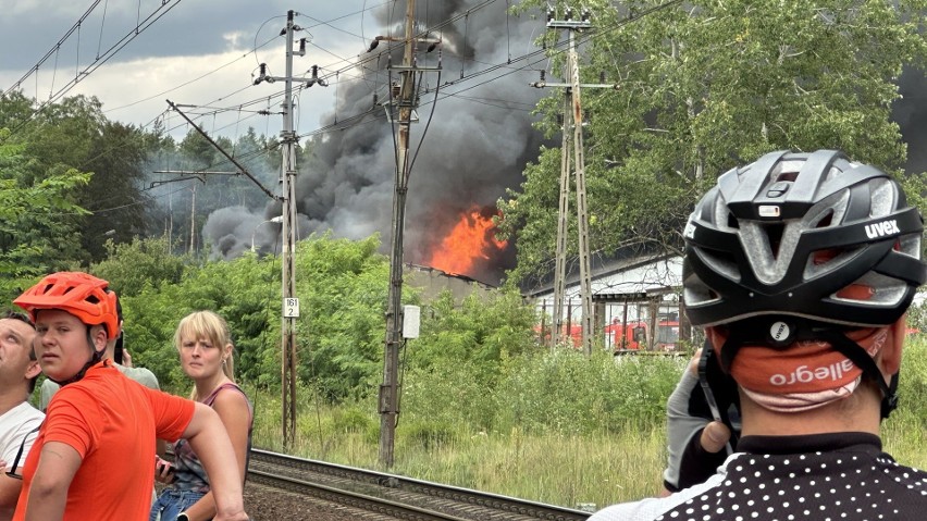 Do pożaru toksyn w zielonogórskim Przylepie doszło 22 lipca.
