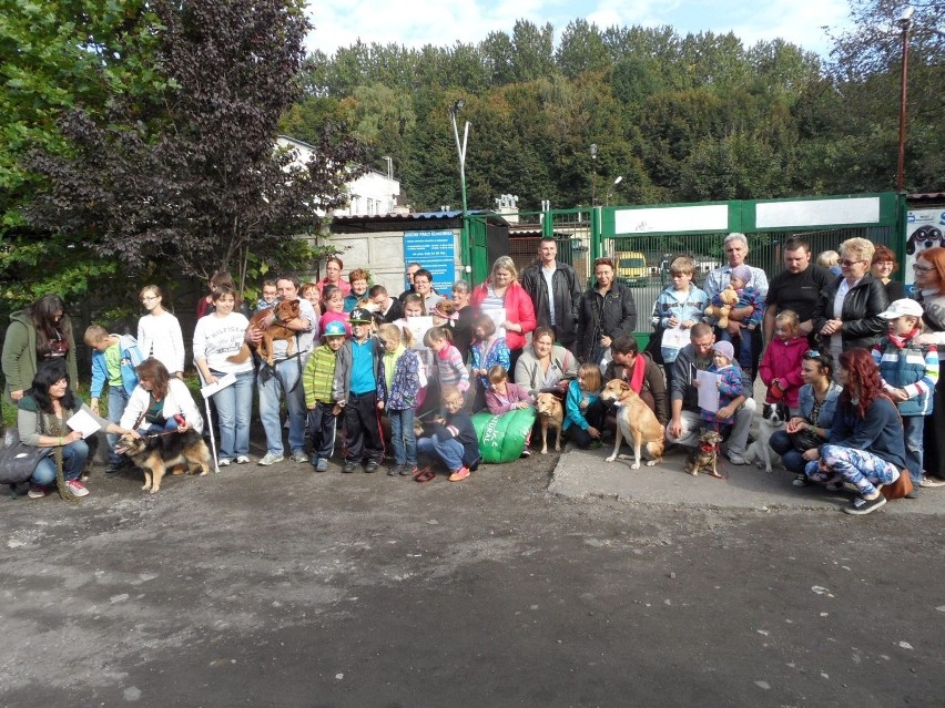 Światowy Dzień Zwierząt w chorzowskim schronisku [ZOBACZCIE ZDJĘCIA]