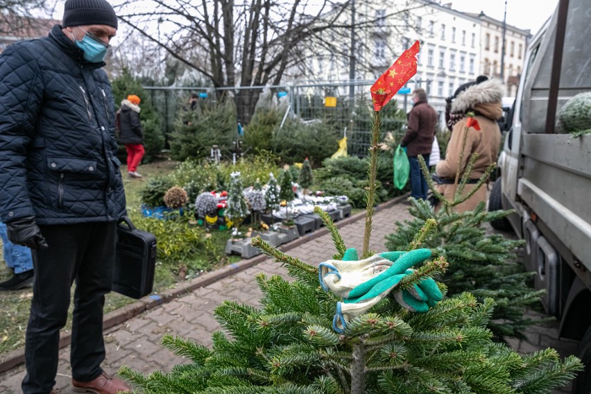 Przedświąteczne zakupy na Nowym Kleparzu