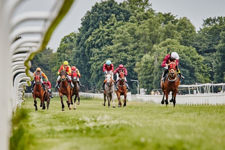 Rusza nowy sezon wyścigów konnych na Partynicach