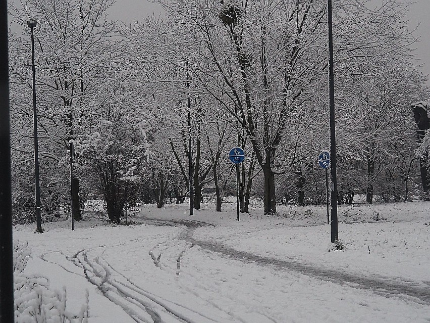 Zima w Łodzi. Śnieg 7 stycznia 2021 roku